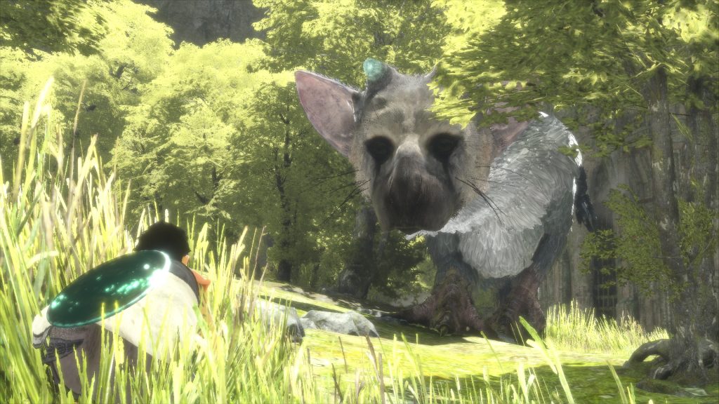 Trico et son ami en pleine nature