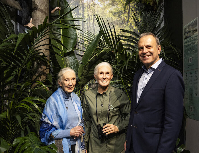 Yves Delhommeau copie